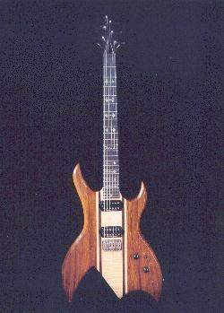 Reader's Guitar